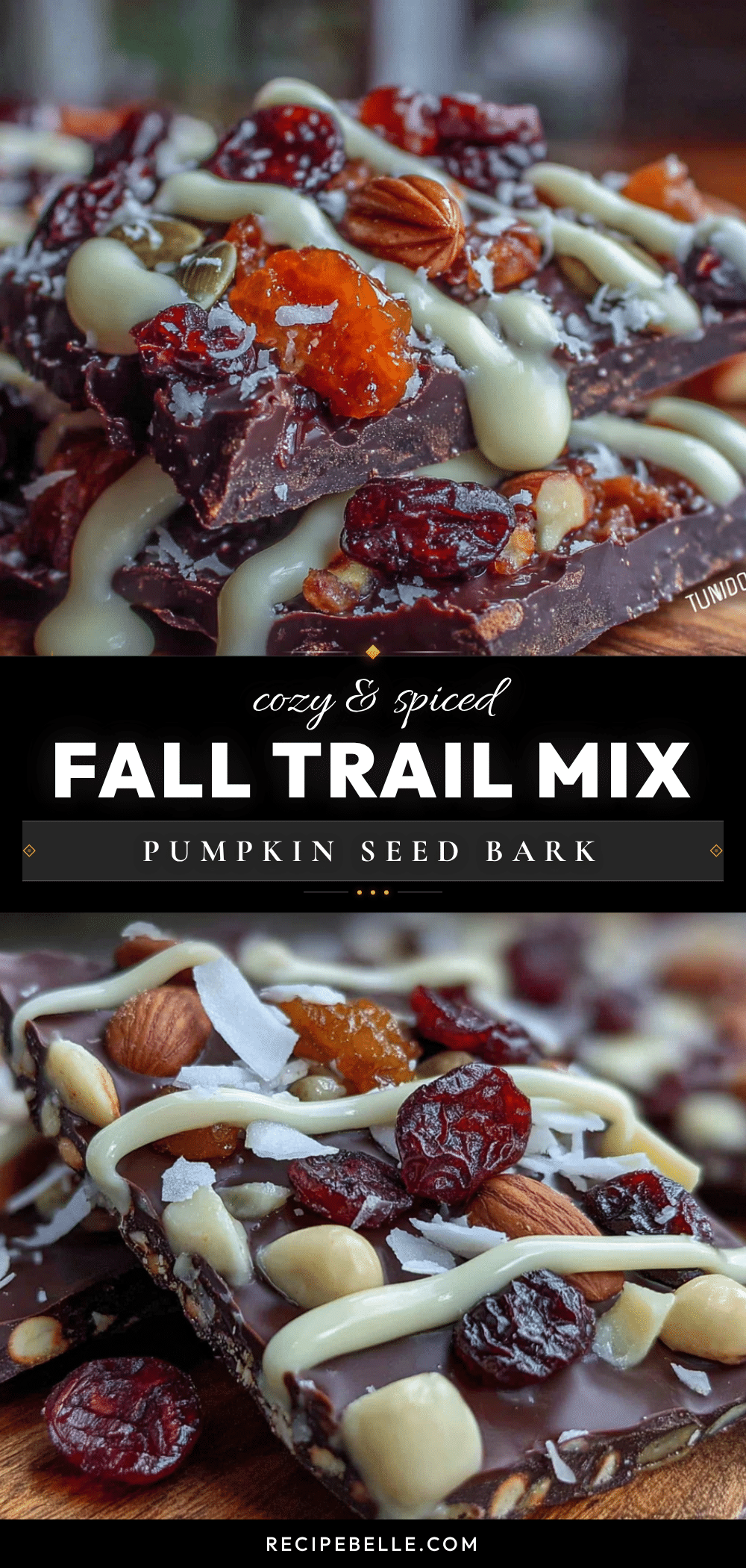 cozy fall spiced pumpkin seed trail mix bark recipe