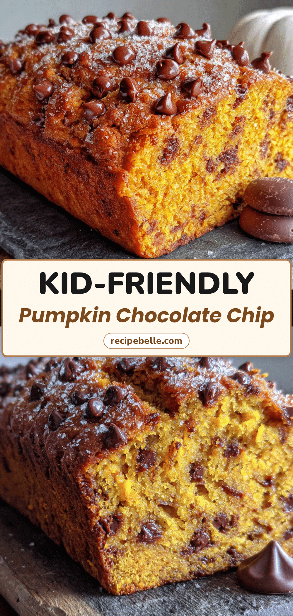 pumpkin chocolate chip bread recipe