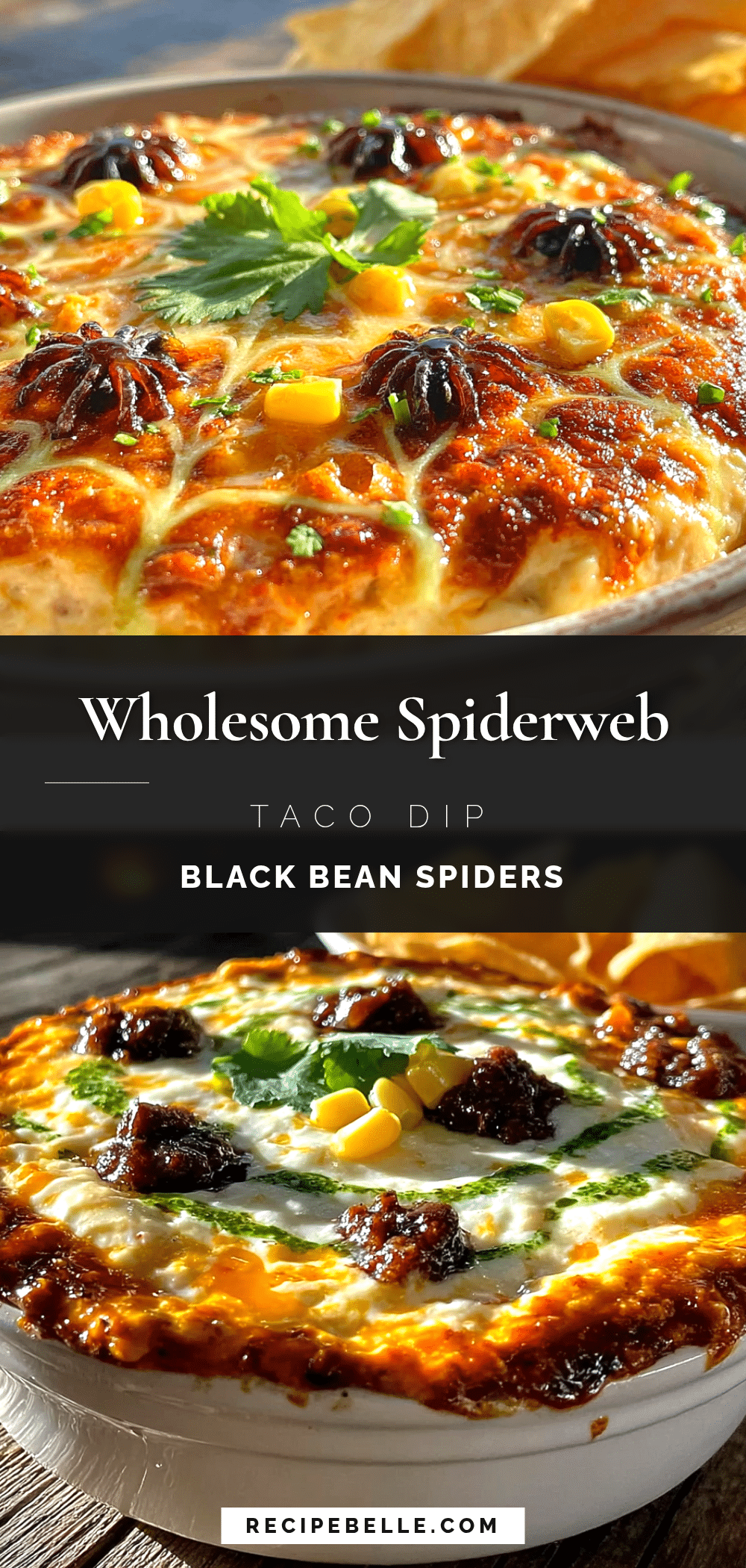 spiderweb taco dip recipe